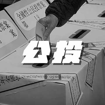 公投